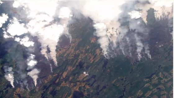 « Je n’ai jamais vu autant d’hectares qui brûlent »