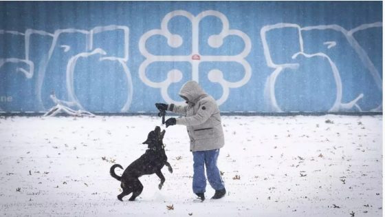 Le sud du Québec sous la neige