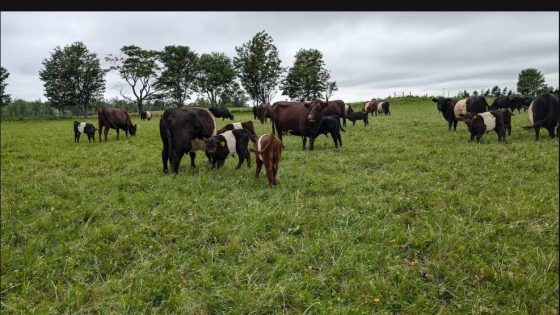 Des fonds pour aider les fermiers à se préparer à la météo extrême