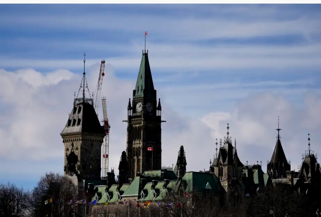 Les libéraux perdent un vote, mais ne s’en formalisent pas