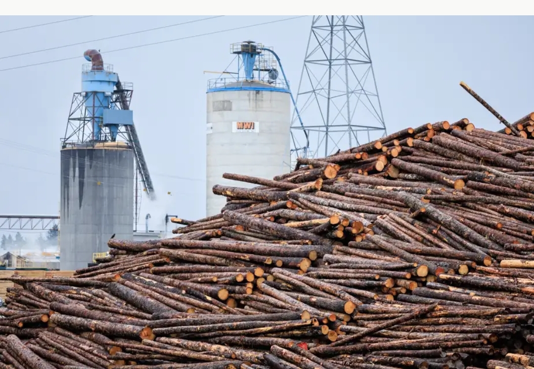 Les Premières Nations quittent la table de concertation