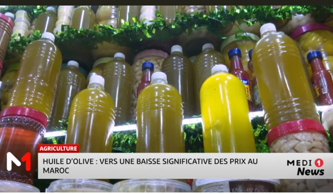 Huile d’olive : vers une baisse significative des prix au Maroc