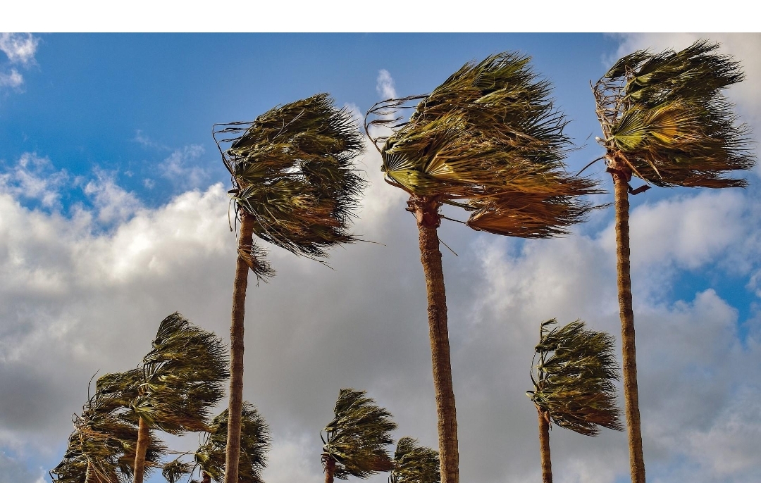 Fortes rafales de vent avec tempête de sable et chasse-poussières de jeudi à vendredi dans certaines provinces (bulletin d’alerte)