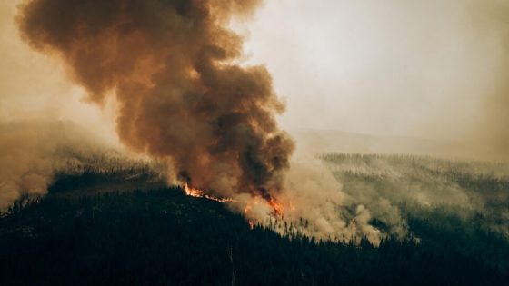 Incendies historiques: la barre des 10 millions d’hectares brûlés franchie au Canada