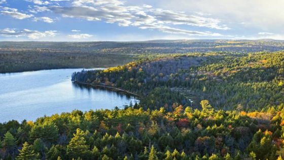 Nouveau conflit entre Québec et Ottawa… au sujet de la plantation d’arbres