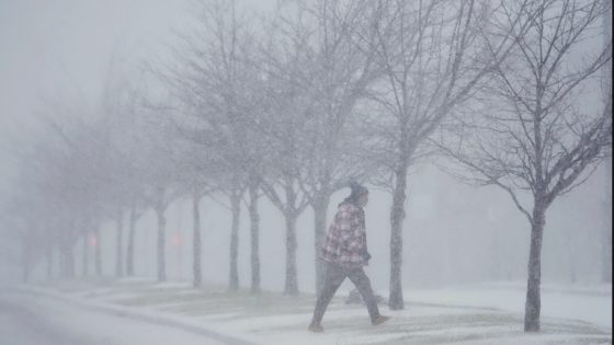 L’est du Canada touché par une tempête hivernale, tout comme les États-Unis