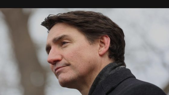 Justin Trudeau, cinq angles pour une chute